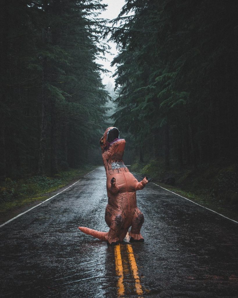 @ashleyinwanderlandviral